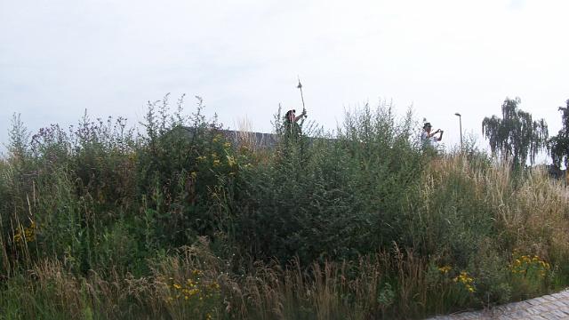 Schuetzenfest 2011 136.jpg